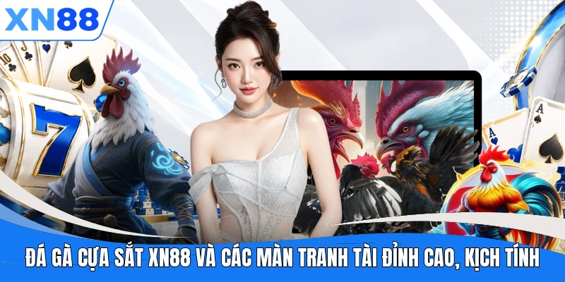 da ga cua sat xn88 va cac man tranh tai dinh cao kich tinh