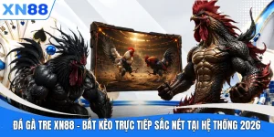 da ga tre xn88 bat keo truc tiep sac net tai he thong 2026