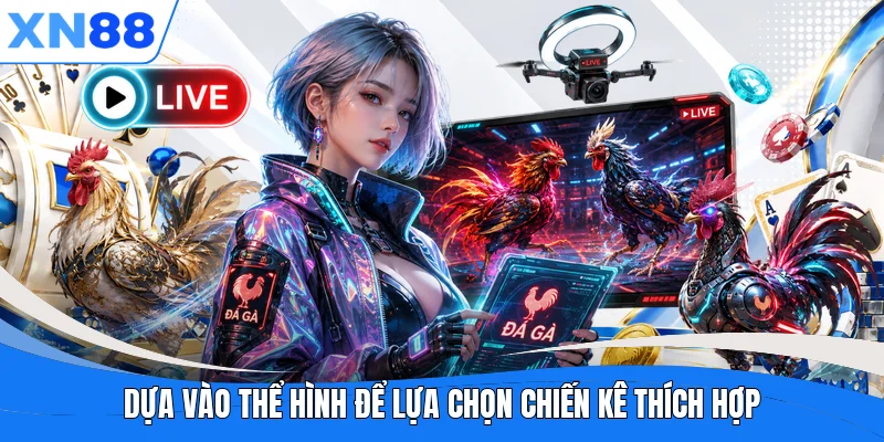 Dựa vào thể hình để lựa chọn chiến kê thích hợp