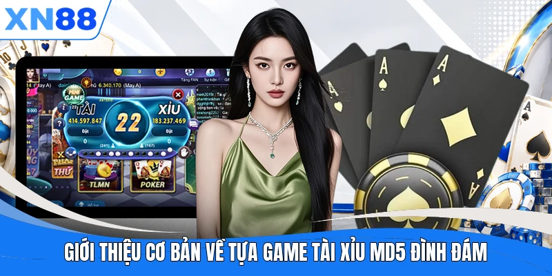 Giới thiệu cơ bản về tựa game Tài Xỉu MD5 đình đám