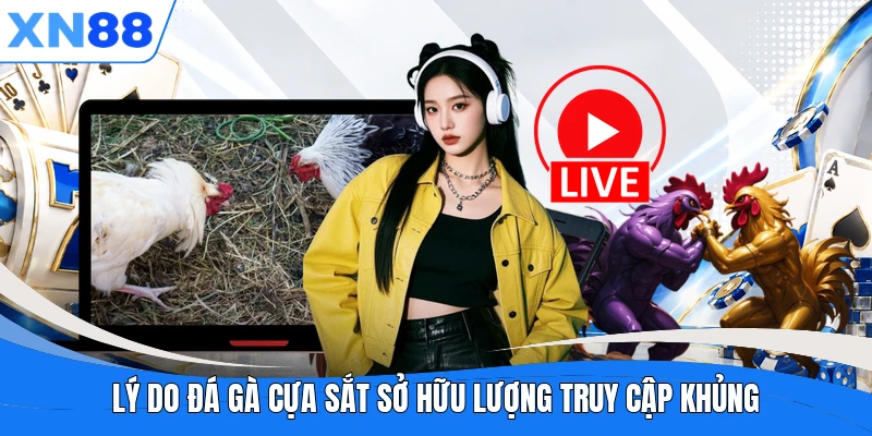 Lý do đá gà cựa sắt sở hữu lượng truy cập khủng