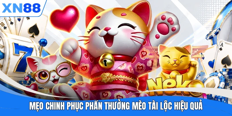 Mẹo chinh phục phần thưởng Mèo Tài Lộc hiệu quả Mẹo chinh phục phần thưởng Mèo Tài Lộc hiệu quả