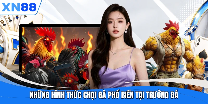 Những hình thức chọi gà phổ biến tại trường đá