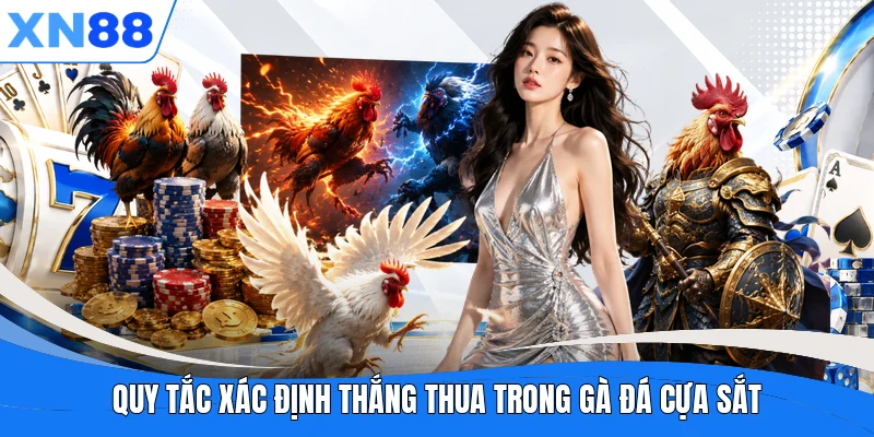 Quy tắc xác định thắng thua trong gà đá cựa sắt
